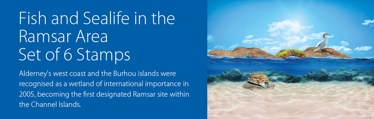 Sealife in the Ramsar Area